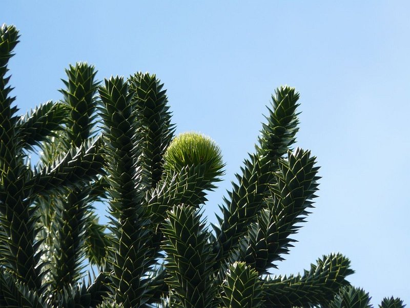 2008 05 Séjour à Martel 13